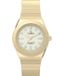 Timex Q Sport TW2Y57500 Horloge - Staal - Goudkleurig - Ø 30 mm