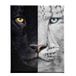Homemania Muurfoto, Feline-dieren, voor woonkamer, slaapkamer, meerkleurig, 45 x 3 x 70 cm, HM20KNV45 x 70 – 6, polyester, hout