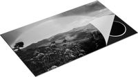 Chefcare Inductie Beschermer Regenboog in de Heuvel Bossen - Zwart Wit - 90x55 cm