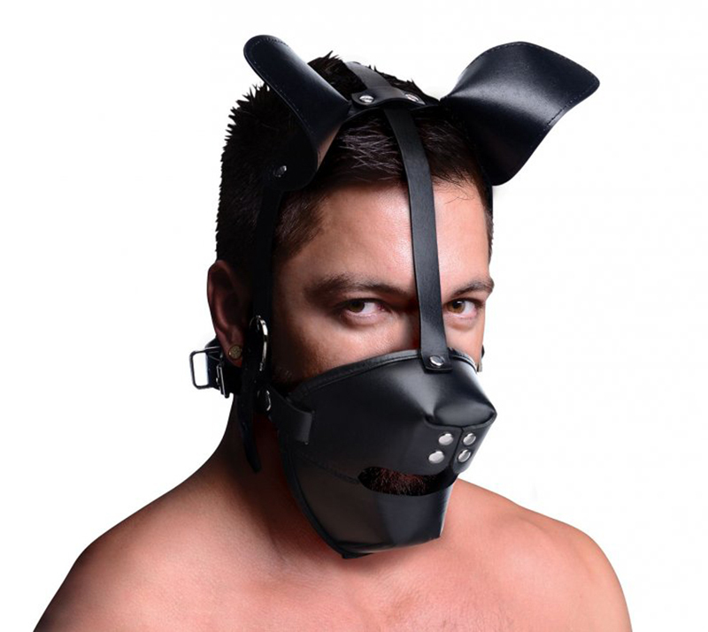 Master Series Pup Puppy Play Hood Breathable Ball Gag