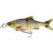 Savage Gear 3D Glide Roach - Leurres nageurs, Poids : 78g, Taille : Taille 1, Longueur : 17cm, Couleur : Hugo