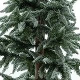 Buitengewoon de boet Pine Tree Loki 200 cm Buitengewoon de Boet