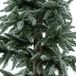 Buitengewoon de boet Pine Tree Loki 200 cm Buitengewoon de Boet