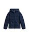 TOMMY HILFIGER Winterjas donkerblauw / grijs