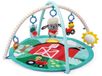 Baby Einstein Activity Gym Happy Harvest Touch & Feel