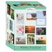 Shared Blessings 48 Religieuze wenskaarten voor alle gelegenheden Value Pack 1, King James Version Schrift, op geloof gebaseerde wenskaarten, diverse ontwerpen inclusief religieuze verjaardag, denken
