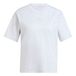 ADIDAS SPORTSWEAR T-shirt fonctionnel 'Z.N.E.' gris