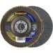 Rhodius 211332 Lamellenschijf Diameter 125 mm Boordiameter 22.23 mm Korrelgrootte (num) 60 Inox, Staal 1 stuk(s)