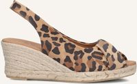 AYANA Omo25yu846 Espadrilles - Dames - Bruin - Maat 41