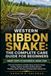 Western Ribbon Snake: The Complete Care Guide for Beginners