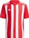 Adidas Striped 21 Shirt Korte Mouw Kinderen - Rood / Wit | Maat: 140