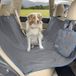 Imperméable couverture de voiture pour chiens, antidérapant, avec ceinture de sécurité