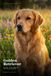 Golden Retriever: Charakter · Pflege · Erziehung – Alles, was du wissen musst