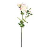 EuroCinsa Ref. 47407C02 Lady Ivoor met roze, doos van 6, 82 cm