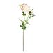 EuroCinsa Ref. 47407C02 Lady Ivoor met roze, doos van 6, 82 cm