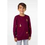 OppoSuits X-Mas Icons Sweater - Bordeaux - Maat 12 Jaar