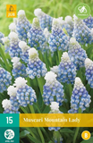 JUB Muscari Mountain Lady JUB, 15 bloembollen
