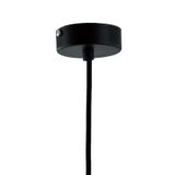 Theluz 466/30FM Plafondverlichting Zwart LED E27