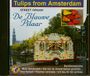 Street De Blauwe Pilaar - Tulips From Amsterdam