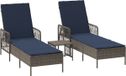 vidaXL Ligstoel Set van 3 Grijs en Navy PE Rotan, Metaal