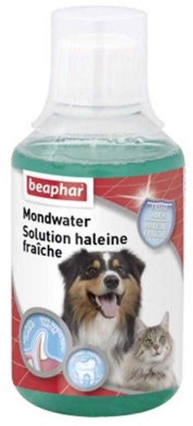 Beaphar Mondwater - 2 x 250 ml