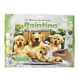 Royal & Langnickel Schilderen op nummertjes Golden Retriever
