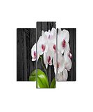 Homemania Wandafbeelding, 3 stuks, natuur, voor woonkamer, slaapkamer, meerkleurig, 57 x 0,3 x 60 cm, HM203MDF193, MDF