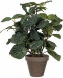 Mica Decorations Kunstplant Pilea Groen - H 35cm - Keramiek sierpot