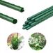 GARDENLINE Support de plantes en acier vert 120 cm