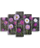Homemania Wandafbeelding, bloemenmotief, 5 stuks, natuur, voor woonkamer, meerkleurig, 95 x 0,3 x 60 cm, HM205MDF120, MDF