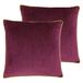 Paoletti Meridian polyester gevulde kussens Twin Pack