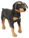 Chien en peluche XXL, 70 cm, réaliste, peluche pour enfants et adultes