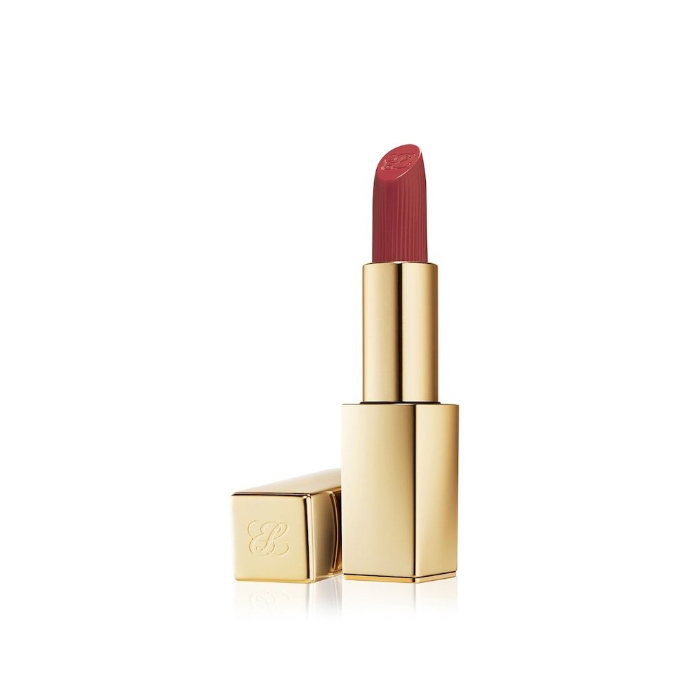 Estée Lauder Pure Color Matte Lipstick 683 Speak Up 3.5 g