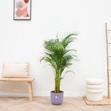 Elho Jazz Rond Lavendel Lila - D26 x H24