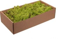 Othmar Decorations Finlands mos - lichtgroen - 500 gram