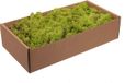 Othmar Decorations Finlands mos - lichtgroen - 500 gram
