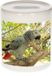 Bellatio Decorations Shoppartners Bv Dieren grijze roodstaart papegaai foto spaarpot 9 cm