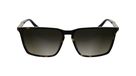 GAFAS Calvin Klein GAFAS CALVIN KLEIN CK25505S - C: HAVANA Eye Size: 58 Bridge: 15