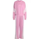 Adidas Dames sweatshirt Laziday
