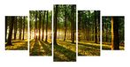 Homemania Muurfoto, bosbos, natuur, voor woonkamer, slaapkamer, meerkleurig van polyester, hout, 100 x 2 x 60 cm