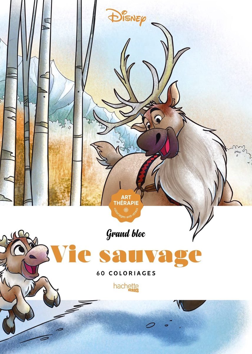 Hachette Grand bloc Disney Vie Sauvage - Kleurboek voor volwassenen