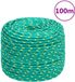 vidaXL Boottouw 6 mm 100 m polypropyleen groen