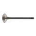 febi bilstein 34159 uitlaatventiel, 1 stuk