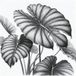 Papier peint panoramique feuilles tropicales - 130 cm x 130 cm
