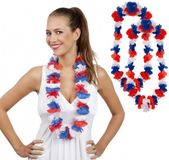 Guirlande de fleurs d'Hawaï de couleurs hollandaises, sans marque
