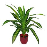 Leaf Design Tropische Kunstplanten, 90cm Dracaena