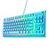 SteelSeries Apex 3 TKL Aqua RGB-gamingtoetsenbord