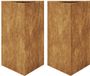 vidaXL Plantenbakken 2 stuks Driehoekig Staal Bruin 50x43x75 cm