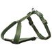 Trixie Premium servies, 40-45 cm / 15 mm, groen