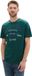 Tom Tailor T-shirt met logo-opdruk - Katoen - Korte mouw - Ronde hals - Deep Green Lake - Maat S